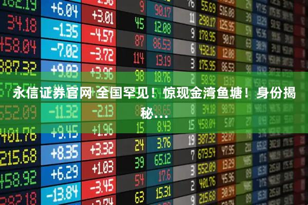 永信证券官网 全国罕见！惊现金湾鱼塘！身份揭秘…