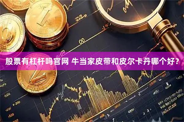 股票有杠杆吗官网 牛当家皮带和皮尔卡丹哪个好？
